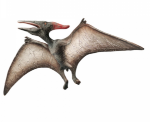 Figurka na dort Pteranodon 30x5cm Bullyland