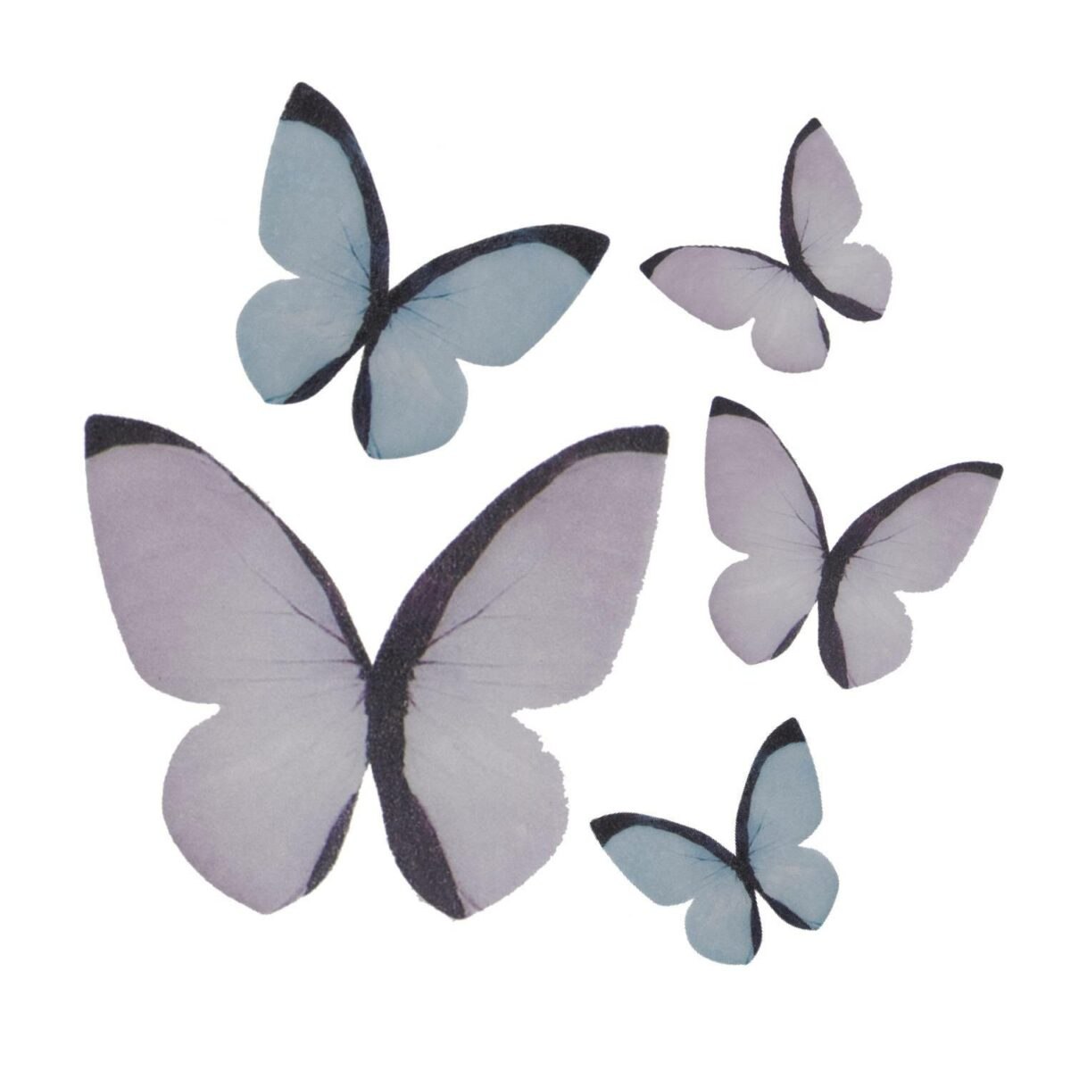Motýlci z jedloho papíru 3-6cm 79ks Dekora